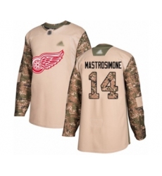 Men's Detroit Red Wings #14 Robert Mastrosimone Authentic Camo Veterans Day Practice Hockey Jersey