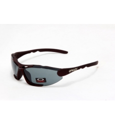 Oakley Glasses-0252