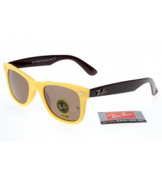 Ray-ban Glasses-1264